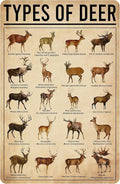 Deer Gifts Types of Deer Vintage Tin Sign for Home Office Farmhouse Man Cave Classroom Wall Art Decor 8x12 Inch (3169)