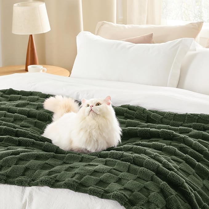 Bedsure GentleSoft Blankets Queen Size for Bed - Super Soft Cozy Spring Blanket for Women Men Girls, Large Fuzzy Fleece Mother's Day Throw for Bedroom Decor, Olive Green, 90x90 Inches
