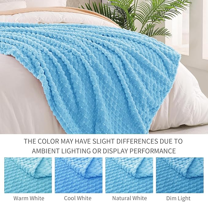 Exclusivo Mezcla Fleece Queen Blanket for Bed, Extra Large Fuzzy Blue Bed Blankets, Soft Cozy Plush Sofa Throws for All Seasons, 90x90 Inches