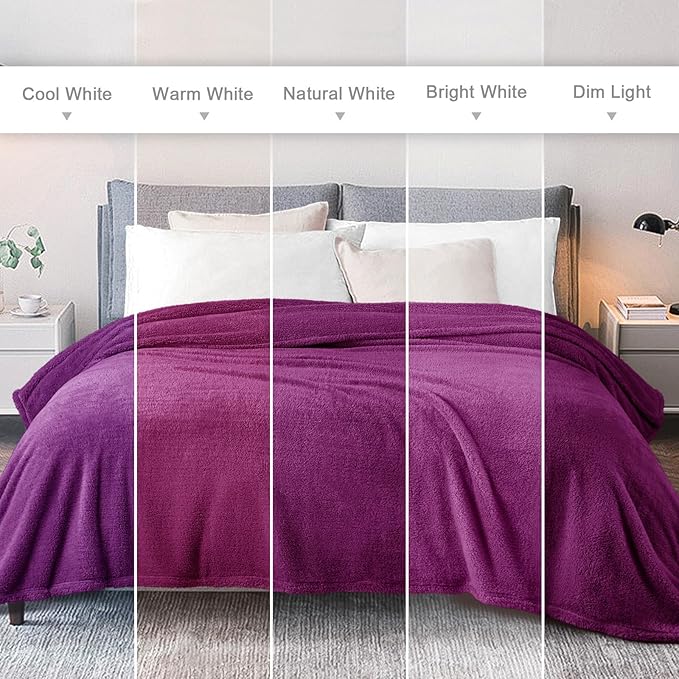 Exclusivo Mezcla Queen Size Blanket for Bed, Super Soft Velvet Plush Fleece Blankets, Fuzzy Cozy and Warm for Winter, 90x90 Inches, Purple