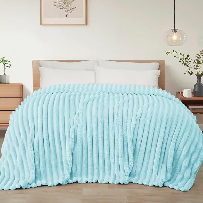 Exclusivo Mezcla Twin Size Flannel Fleece Blanket, Super Soft Striped Jacquard Bed Blanket, Lightweight Fuzzy Cozy for All Seasons, 60x80 Inches, Light Blue