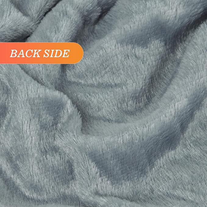 TOONOW Extra Soft Fuzzy Faux Fur Blanket Queen Size 78"x90", Reversible Lightweight Decorative Blankets and Throws Super Soft Cozy Microfiber Fleece Fuzzy Blankets for Couch Bed, Blue Grey