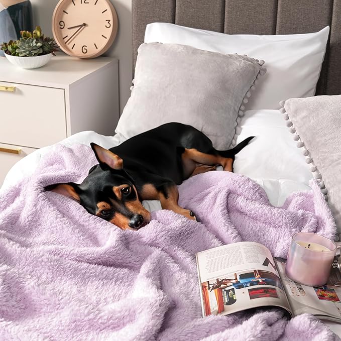 PAVILIA Sherpa Throw Blanket for Couch Sofa, Light Purple Lavender Fluffy Warm Plush Blanket for Bed, Cozy Super Soft Lightweight Throw, Fuzzy Decorative Blanket, All Season Home, 50x60