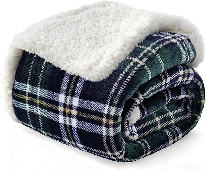 Sherpa Fleece Throw Blanket for Couch, Fluffy Plush Warm Fuzzy Blanket for Women and Men, Cozy Thick Soft Twin Blanket for Bed(Green-Soft Blue, 80"*90")