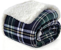Sherpa Fleece Throw Blanket for Couch, Fluffy Plush Warm Fuzzy Blanket for Women and Men, Cozy Thick Soft Twin Blanket for Bed (Green-Soft Blue, 60"*80")