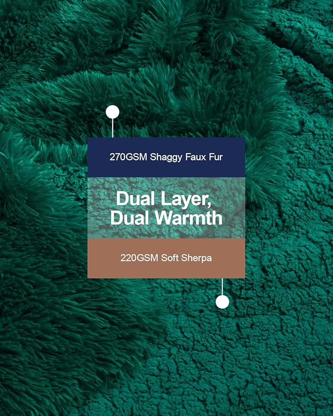 Pawque Faux Fur Blankets Queen Size 90x90 Inches, Soft Fuzzy Fluffy Blanket, Warm Thick Sherpa Long Hair Shag Reversible Lightweight Cozy Throw for Bedroom Sofa Couch, Green