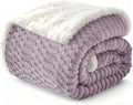 Sherpa Throw Blanket for Couch Flannel Cozy Soft Thick Blanket Warm Twin Blanket for Bed Fleece Home Decor Gifts, Z01 - Purple, 60"*80"