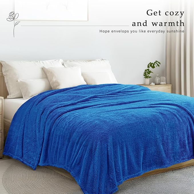 Exclusivo Mezcla Queen Size Blanket for Bed, Super Soft Velvet Plush Fleece Blankets, Fuzzy Cozy and Warm for Winter, 90x90 Inches, Cobalt Blue