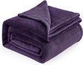 Bedsure GentleSoft Fleece Bed Blankets Large Size Purple - Soft Lightweight Fuzzy Cozy Luxury Oversized King Blanket Microfiber, Room Home Decor Gifts for Women and Men, 120x120 inches