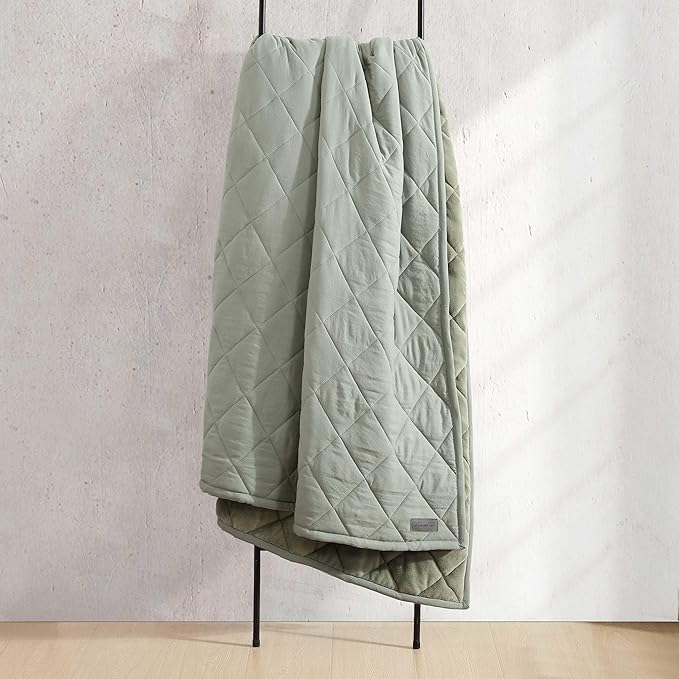 Eddie Bauer - King Size Blanket, Soft & Reversible Plush Bed Blanket, Brushed for Extra Softness with a Plush Smooth Texture, Throw Blanket for Couch or Bed (Classic Solid Green)