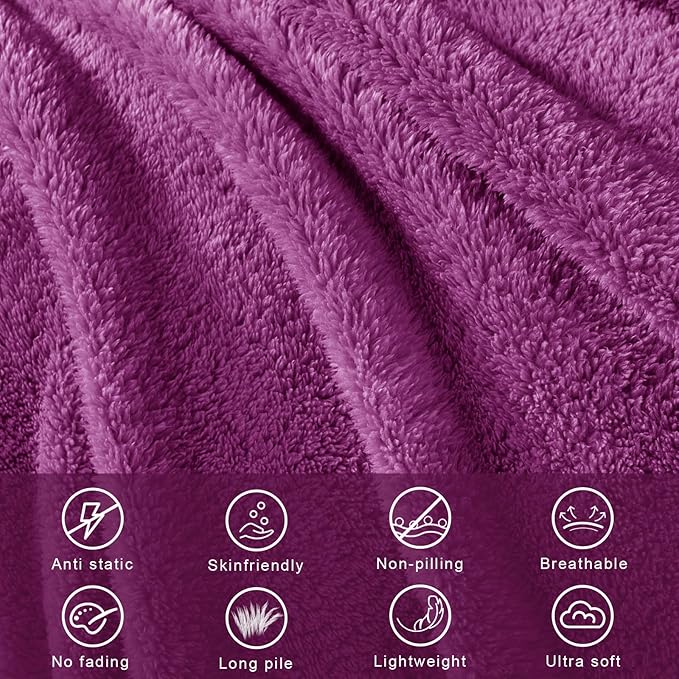 Exclusivo Mezcla Twin Size Blanket for Bed, Super Soft Velvet Plush Fleece Blankets, Fuzzy Cozy and Warm for Winter, 60x80 Inches, Purple