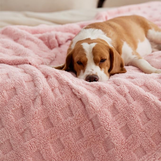 Bedsure Waffle Fleece Blanket for Couch - Light Pink GentleSoft Fluffy Checkered Twin Blanket for Sofa Bed Room Decor, Warm Cozy Cute Women Gift, 60x80 Inches