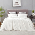 DREAMNINE Extra Large Solid Soft Comfy Fluffy Fleece Bed Blanket Queen Size 90" x 90", Luxury Decorative Fuzzy Blankets for Bedroom, Big Cozy Shaggy Warm Flannel Blanket for Winter Autumn Pet, White