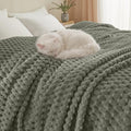 PHF Ultra Soft Flannel Fleece Blanket Twin Size, Lightweight 3D Jacquard Fleece Blanket, No Shedding, No Pilling, Luxury 340GSM Aesthetic Fluffy Cozy Bedding for Bed Room Decor, 66"x90", Dusty Sage