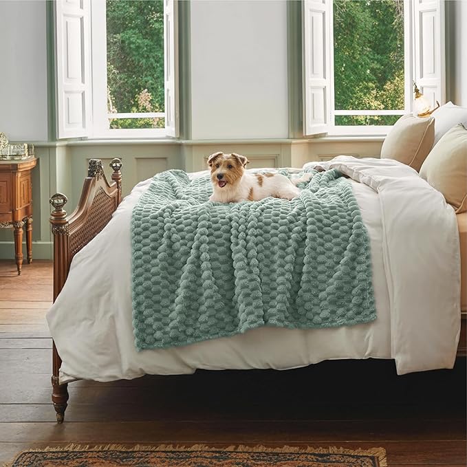 Bedsure Twin Blanket for Bed - 350GSM Fluffy Plush Bubble Blanket for College Dorm for Home Room Decor, GentleSoft Cute Fleece Soft Cozy Gifts for Women Girls, Sage Green, 60x80 Inches