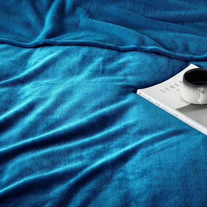 IR Imperial Rooms Fleece Blankets Queen Size 90x90 Inches - Super Soft Fluffy Throw Blanket for Sofa and Bed - Warm and Cozy Lightweight 400 GSM Microfiber Bed Throws Blankets (Queen, Teal)