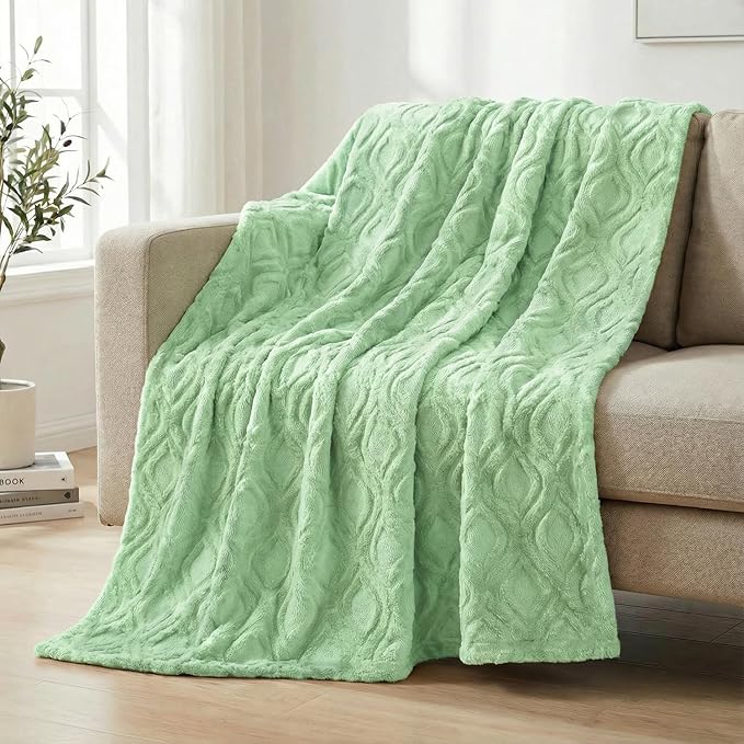 Horaldaily Solid Blanket Throw, Green Accent Farmhouse Neutral Square Euro Soft Fuzzy Plush Faux Fur Cozy Blankets for Couch Sofa Bed Lounging, Ideal Gifts for Kids Adults Wife Self, 50x60