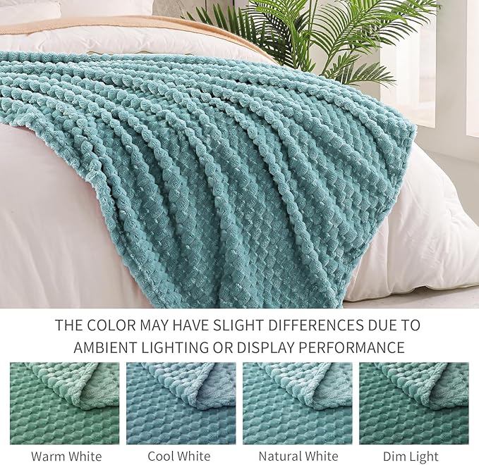 Exclusivo Mezcla Fleece Twin Blanket for Bed, Extra Large Fuzzy Celadon Bed Blankets, Soft Cozy Plush Sofa Throws for All Seasons, 60x80 Inches
