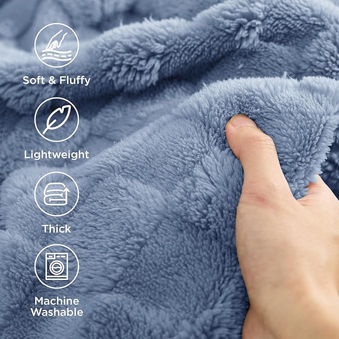 Bedsure GentleSoft Twin Blanket for Bed Ashley Blue - Super Soft Cozy Blankets for Women Men Girls, Cute Fuzzy Fleece Throws for Bedroom Couch, 60x80 Inches