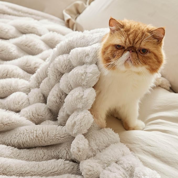 Bedsure Throw Blanket for Couch - 350GSM Super GentleSoft Fuzzy Fluffy Cozy Fleece Blankets for Women, Cute Small Plush Throws for Girls, Linen, 50x60 Inches, Wider Striped Design
