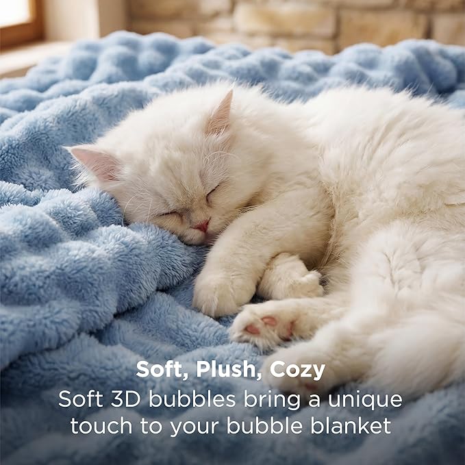 Bedsure 3D Fleece Bubble Blanket - GentleSoft Blue Queen Blanket for for Bed Sofa Room Decor - Luxury Soft Cozy Spring Gifts for Her, Lightweight, All Seasons, Celestial Blue, 90"×90"