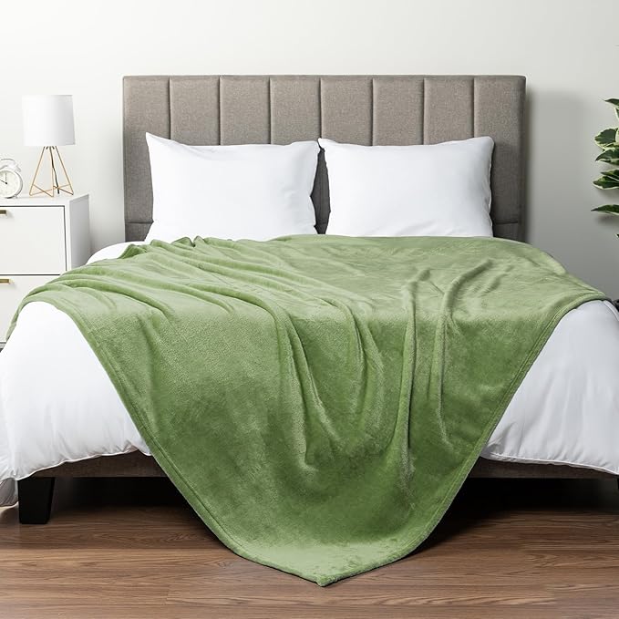 PAVILIA Sage Green Fleece Throw Blanket for Couch, Light Olive Soft Fuzzy Flannel Throw for Sofa, Luxury Plush Microfiber Bed Blanket, Cozy Home Decorative Velvet Gift Blanket, 50x60