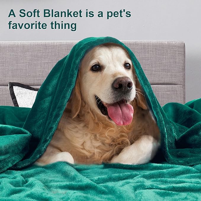 DREAMNINE Extra Large Soft Comfy Fluffy Fleece Bed Blanket Full Size 80" x 90", Luxury Decorative Fuzzy Blanket for Women Girl,Big Cozy Shaggy Warm Flannel Blankets for Winter Autumn Pets,Forest Green