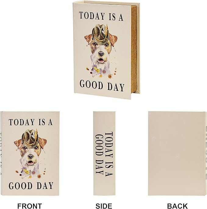 PACOLO Decorative Book Boxes, Faux Wood cover Storage for Hidden Jewelry, Money, and Cash (TODAY IS A GOOD DAY)