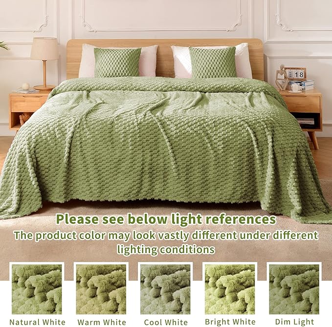 FY FIBER HOUSE Fleece Blanket Twin Size for Couch 300GSM Super Soft Plush Fuzzy Blankets and Throws for Sofa Bed Office, 60x80 Inches, Sage Green