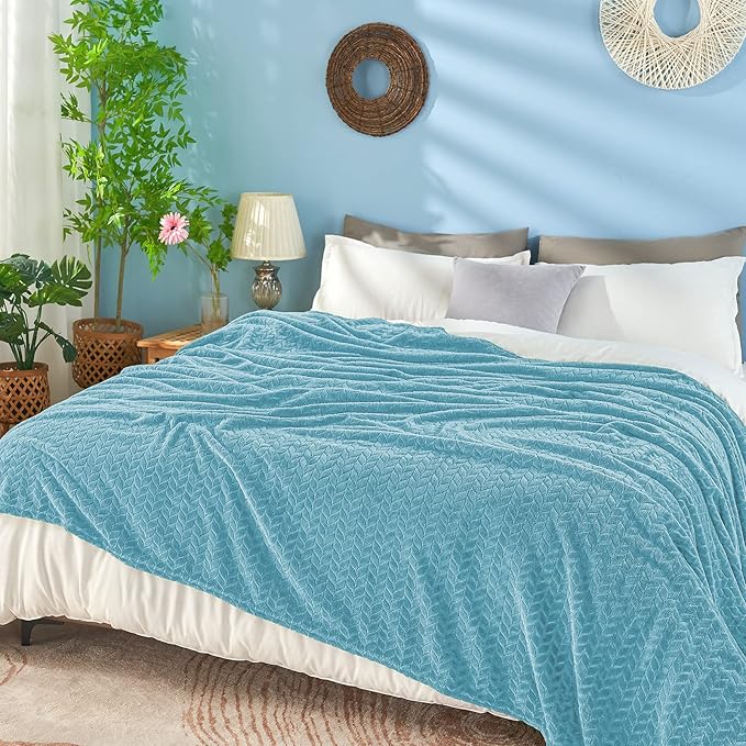 inhand Fleece Queen Blanket for Bed, Super Soft Flannel Cozy Queen Bed Blanket for Adults, Washable Lightweight Fuzzy Bed Blanket for Office, Warm Plush Blankets for All Season (90"×90", Blue)