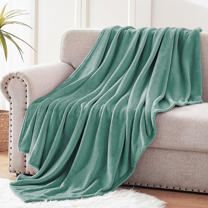 Exclusivo Mezcla Fleece Celadon Throw Blanket for Couch, Sofa, Super Soft and Warm Blankets, All Season, Cozy, Plush, Lightweight, 50x60 Inches