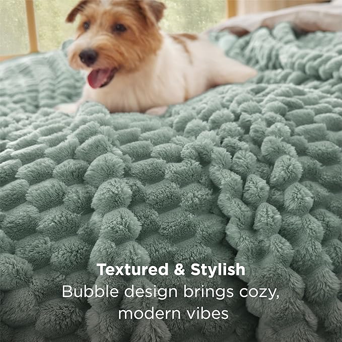 Bedsure Blanket Queen Size for Bed - 350GSM Fluffy Plush Bubble Blanket Queen Size for Home Room Decor, GentleSoft Cute Fleece Soft Cozy Gifts for Women Girls, Sage Green, 90x90 Inches