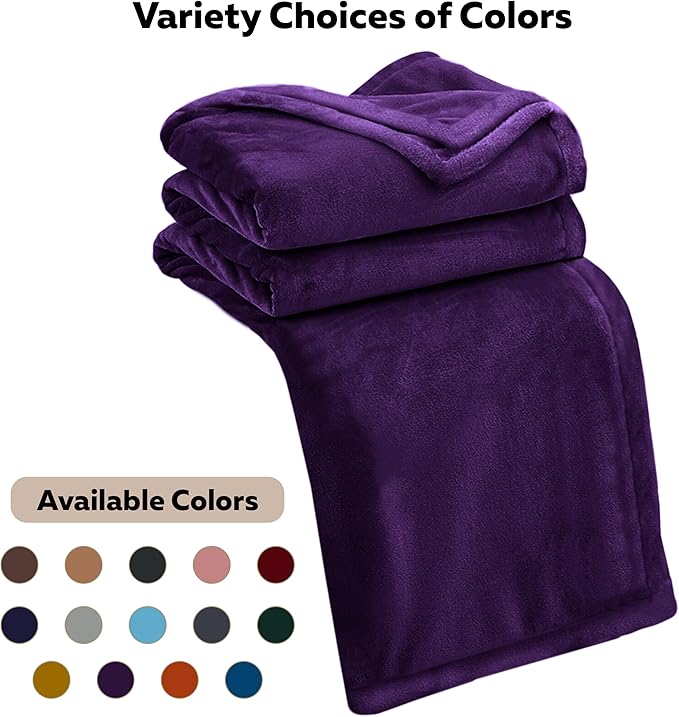 IR Imperial Rooms Fleece Blanket 2 Pack - Super Soft Fluffy Purple Throw Blanket for Sofa and Bed - Warm and Cozy Lightweight 400 GSM Microfiber Bed Throws Blankets, 50x60 Inches (Throw/Travel)