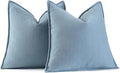 MIULEE Pack of 2 Light Blue Decorative Pillow Covers 24x24 Inch Soft Chenille Luxurious Couch Throw Pillows Farmhouse Cushion Covers Euro Shams Elegant Design for Sofa Bed Living Room Spring Decor