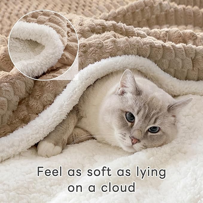 Sherpa Throw Blanket for Couch Flannel Cozy Soft Thick Blanket Warm Twin Blanket for Bed Fleece Home Decor Gifts, Z01 - Beige, 80"*90"