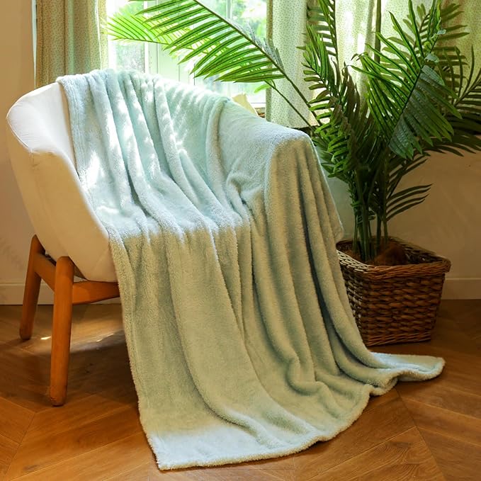 Plush Fleece Throw Blanket for Couch and Bed, Fluffy Fuzzy Cozy Queen-Size Soft Blankets All Season Use (60x80 Inches,Aqua)