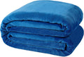 NANPIPER Fleece Blankets, Super Soft Flannel King Size Blanket for Bed, Luxury Cozy Microfiber Plush Fuzzy Blanket,Turquoise Blue