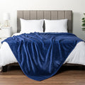 PAVILIA Blue Fleece Bed Blanket King Size, Super Soft Fuzzy Flannel Throw for Couch Sofa, Luxury Plush Microfiber Large Throw Blanket King Bed, Home Cozy Velvet Gift Blanket, 90x108