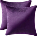 MIULEE Velvet Throw Pillow Covers 22x22 Inch, Pack of 2 - Eggplant Purple, Super Soft Decorative Square Euro Cushion Cases Modern Luxury Spring Home Decor for Bed,Sofa,Couch,Chair
