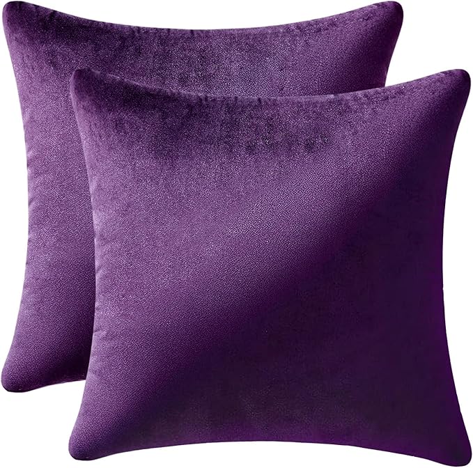 MIULEE Velvet Throw Pillow Covers 22x22 Inch, Pack of 2 - Eggplant Purple, Super Soft Decorative Square Euro Cushion Cases Modern Luxury Spring Home Decor for Bed,Sofa,Couch,Chair