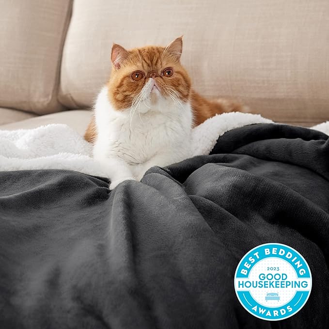 Bedsure GentleSoft Sherpa Fleece Blanket Queen Size for Bed, Non-Heated, Thick and Warm Throw for Women and Men, Soft Fuzzy Plush Queen Blanket for Winter, Charcoal, 90x90 Inches