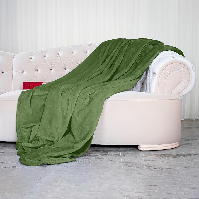 Elegant Comfort Luxury Velvety Softness Fuzzy Plush Micro-Velour Ultra-Soft Blanket, King/California King, Green
