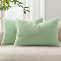 Pallene Faux Fur Plush Lumbar Spring Throw Pillow Covers 12x20 Set of 2, Soft Fluffy Couch Pillow Covers for Living Room, Sage Green