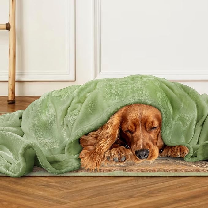 PAVILIA Sage Green Fleece Throw Blanket for Couch, Light Olive Soft Fuzzy Flannel Throw for Sofa, Luxury Plush Microfiber Bed Blanket, Cozy Home Decorative Velvet Gift Blanket, 50x60
