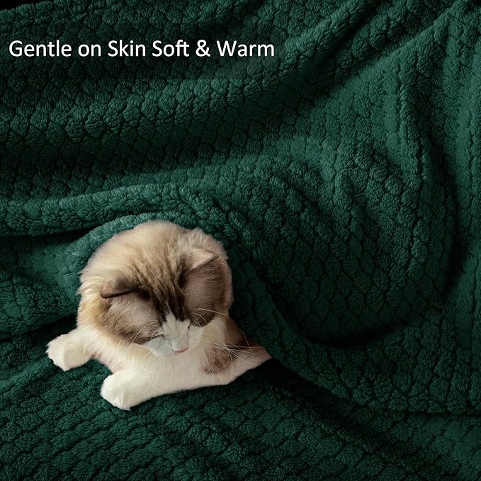Exclusivo Mezcla Queen Size Fleece Blanket for Bed, Extra Soft Warm Decorative Fuzzy Blanket for Women, Lightweight Cozy Bedding Blankets, 90x90 Inches, Forest Green