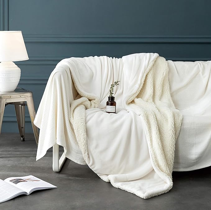 LBRO2M Sherpa Fleece Bed Blanket Queen Size Super Soft Fuzzy Plush Warm Cozy Fluffy Microfiber Couch Throw Double Reversible Blankets,Ivory