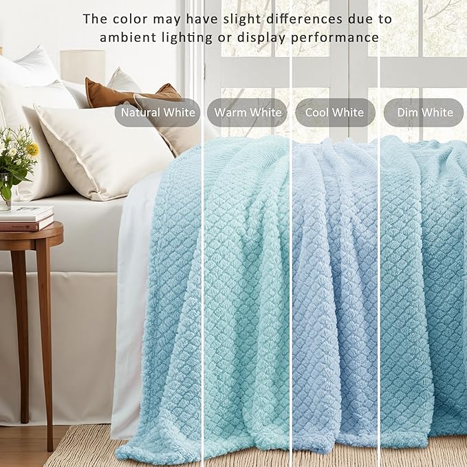 Exclusivo Mezcla Twin Size Fleece Blanket for Bed, Extra Soft Warm Decorative Fuzzy Blanket for Women, Lightweight Cozy Bedding Blankets, 60x80 Inches, Light Blue