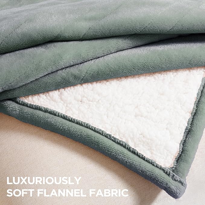 Heated Blanket Queen Size - Dual Controllers Electric Blanket Queen with 9 Heat Settings & 10 Hour Auto Off,Overheat Protection,Machine Washable 84"x90"(Lake Green)