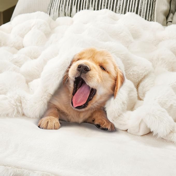 DREAMNINE Large Soft Thick Fuzzy Bubble Faux Rabbit Fur Blanket Queen Size 80" x 90", Double Sided Plush Warm Shaggy Fluffy Blankets, Luxury Big Cozy Cute Textured Furry Blanket for Bed, Cream White