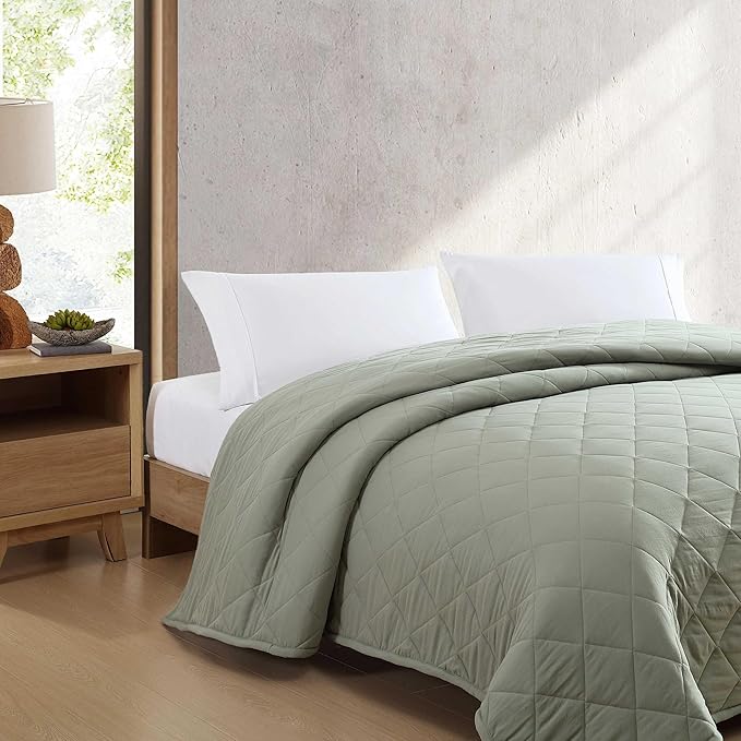 Eddie Bauer - King Size Blanket, Soft & Reversible Plush Bed Blanket, Brushed for Extra Softness with a Plush Smooth Texture, Throw Blanket for Couch or Bed (Classic Solid Green)